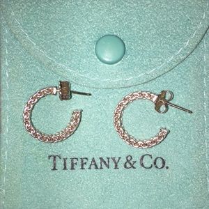 Tiffany & Co. Sterling Silver Mesh Earring
